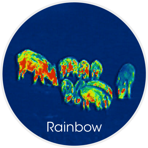 Luchs Bildmodus Rainbow